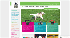 Desktop Screenshot of boxersecurity.com.ar